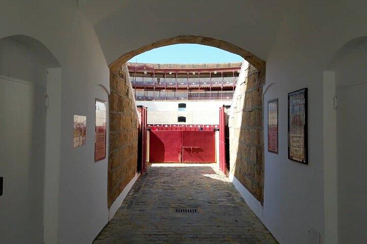 Tour of Malaga Bullring & Bullfighting Museum with Audioguide
