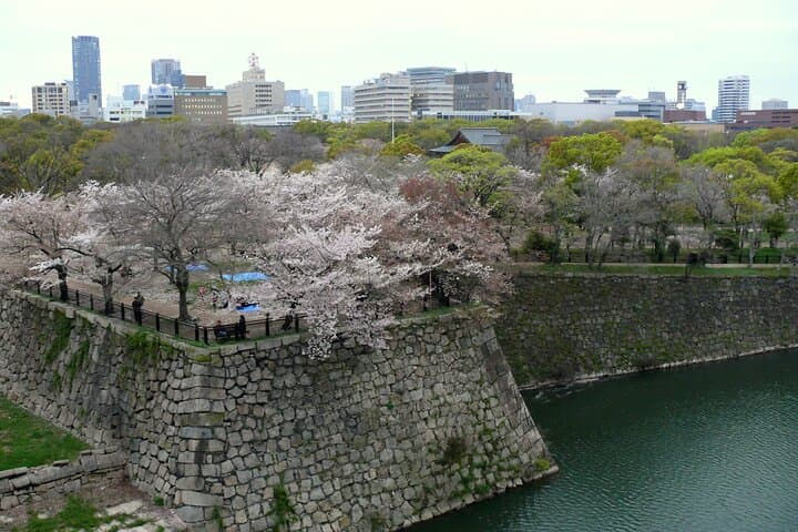 Osaka Castle & Samurai Tour: Entry Included Option