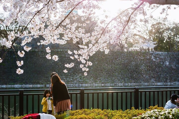 Osaka Castle & Samurai Tour: Entry Included Option