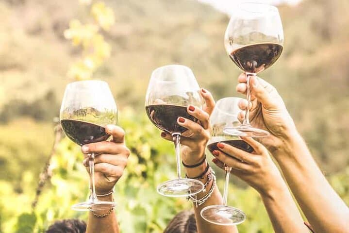 Wine Tasting Private Tour - Hotel Pickup incl. CAPE TOWN