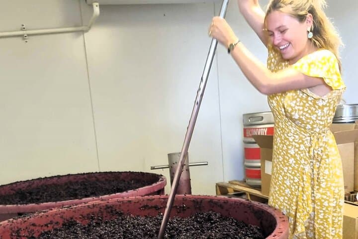 Small Group Hunter Valley Wine Tour + Lunch, Gin & Choc ex Sydney