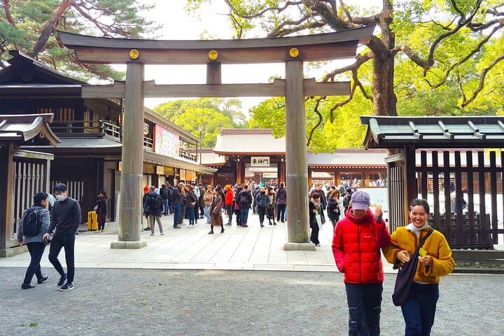 Tokyo: Meiji Jingu Shrine & Inner Garden Private Tour (2h)