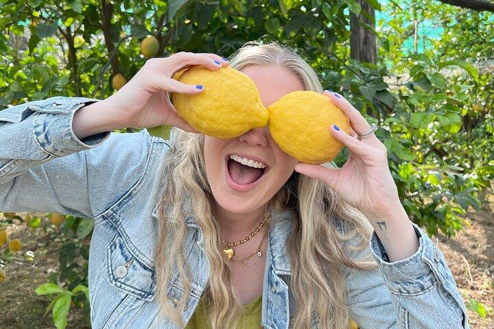 Sorrento: Lemon Grove Visit & Limoncello Tasting