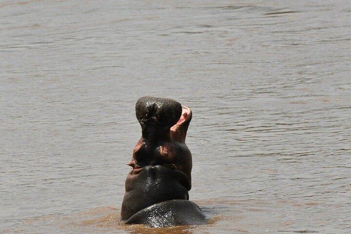 Day Trip to Hells Gate and Boat Ride in Lake Naivasha