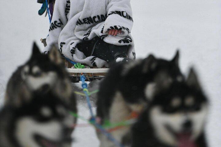 Husky Dog Sledding Experience