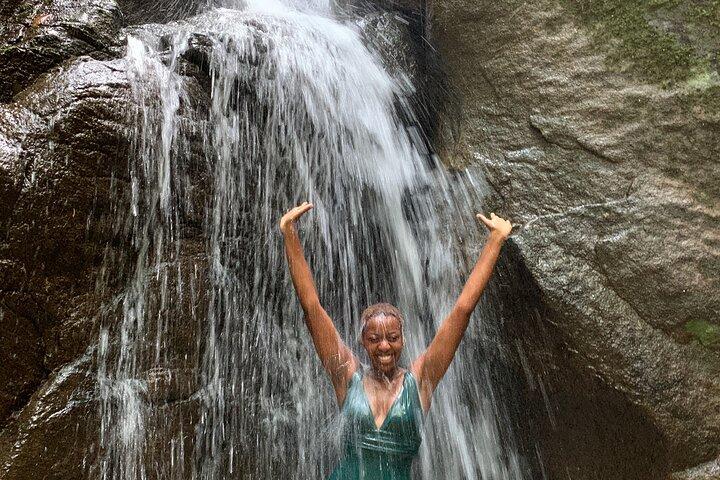 Tijuca Forest Hike - Waterfalls & Caves, Nature & Wild Life!