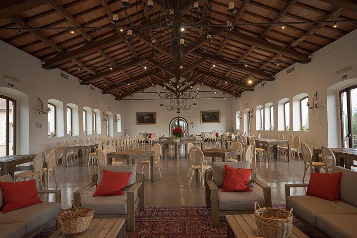 Truffle Hunting, Lunch & Cooking Class in Rome's Countryside