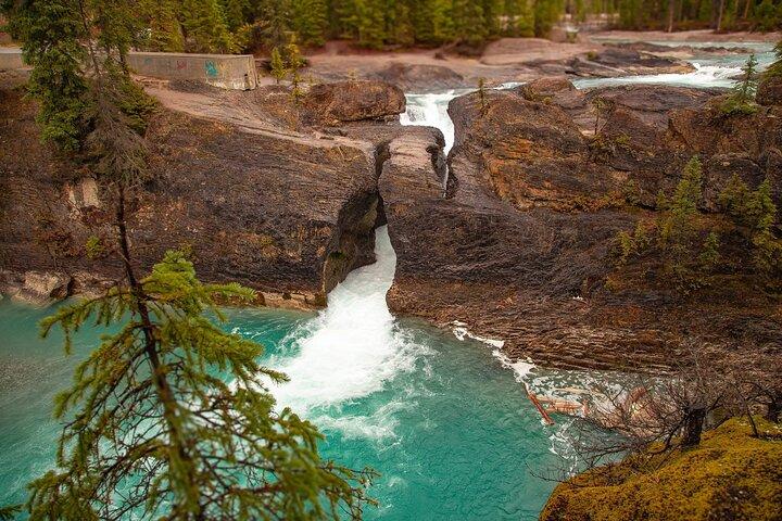 Explore Lake Louise, Emerald Lake, Takakkaw & 3 National Parks