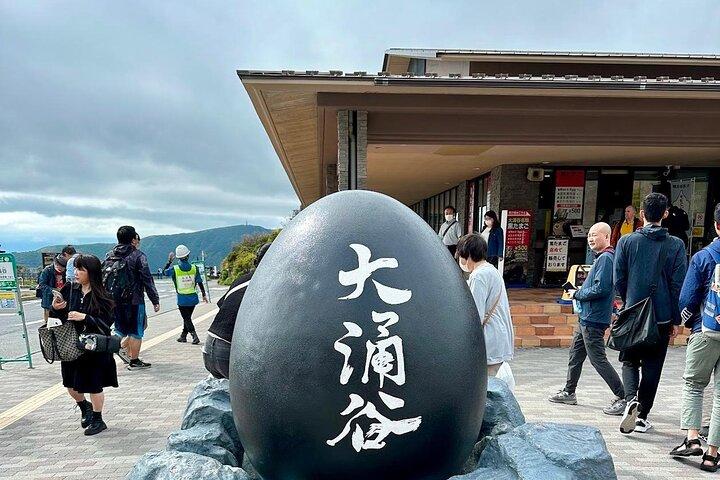 Mt Fuji & Hakone Custom Private Tour from Tokyo w/ English Driver