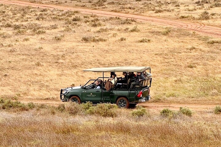 2 Day Best Safari Tour Garden Route Lodge