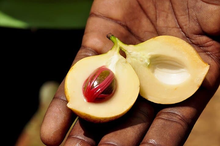 Zanzibar Spice Tour & Stone Town Treasure: Best Guide Awaits