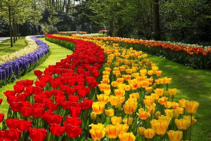 Keukenhof and Volendam from Amsterdam with Guide and Driver