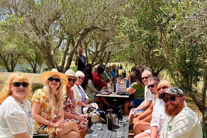 Auckland: Waiheke Island Seafront Lunch & Premium Wine Tour