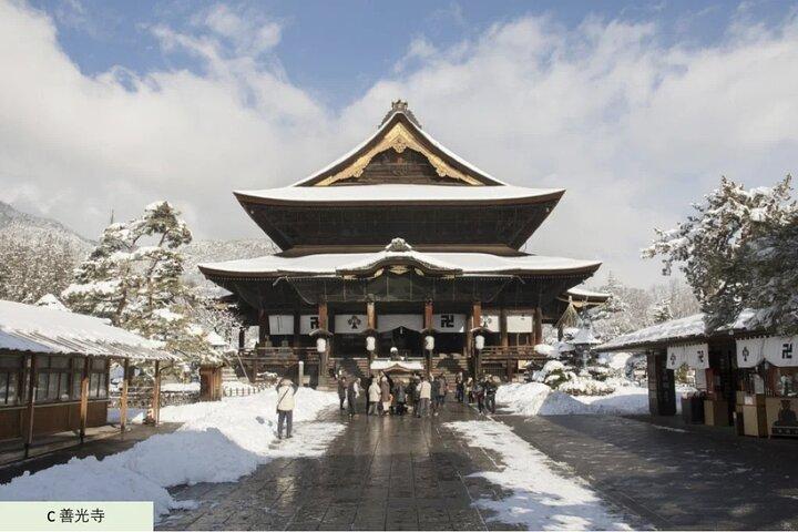 Myoko and Madarao Day Tour Snow Monkeys, Zenkoji and Sake