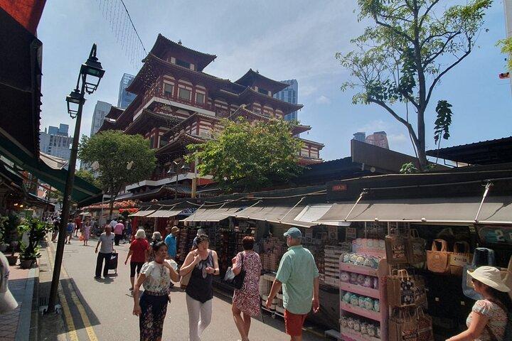 Singapore City Guided Group Tour By Car and Walk