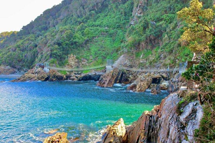 1 Day Garden Route Tour to Tsitsikamma from Port Elizabeth