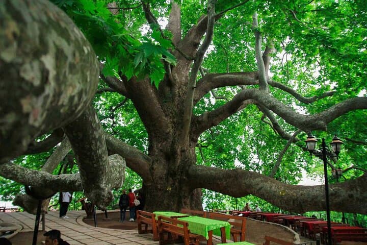 Full Day Bursa Tour with Cable Car & lunch from Istanbul