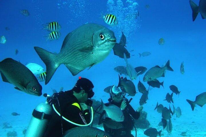 Diving for Beginners among Corals and Statues in San Andres