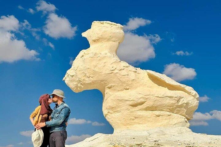 Black and White Desert 2 Days and 1 Night Camping Bahariya Oasis