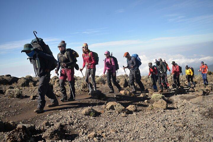 6 Days Kilimanjaro hiking tour | climb Kilimanjaro Machame Route