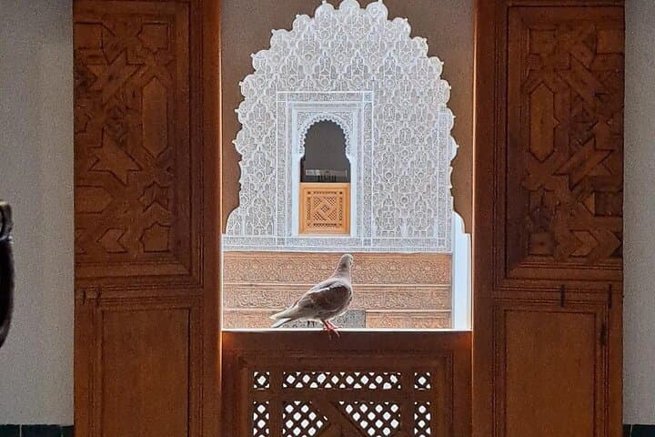 Half Day Guided Tour in Marrakech History & Culture