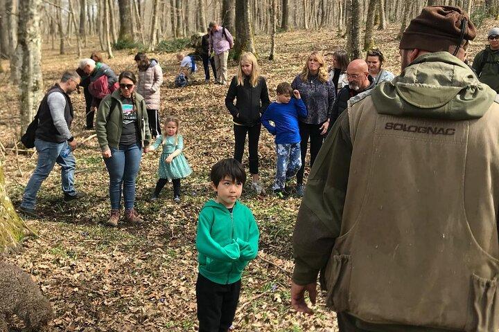 Truffle Hunting and Lunch Wine Tasting Experience at Cortecorbo
