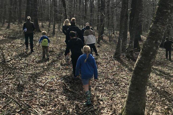 Truffle Hunting and Lunch Wine Tasting Experience at Cortecorbo
