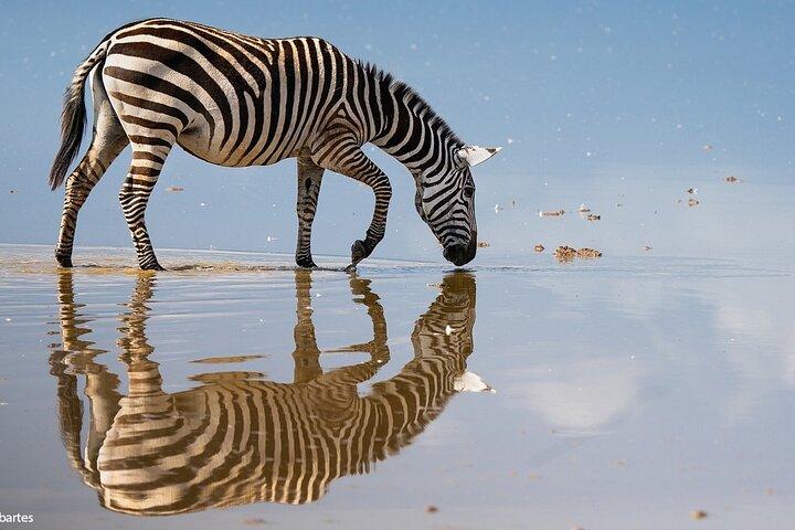 3 Days 2 Nights Joining Tour to Amboseli National Park