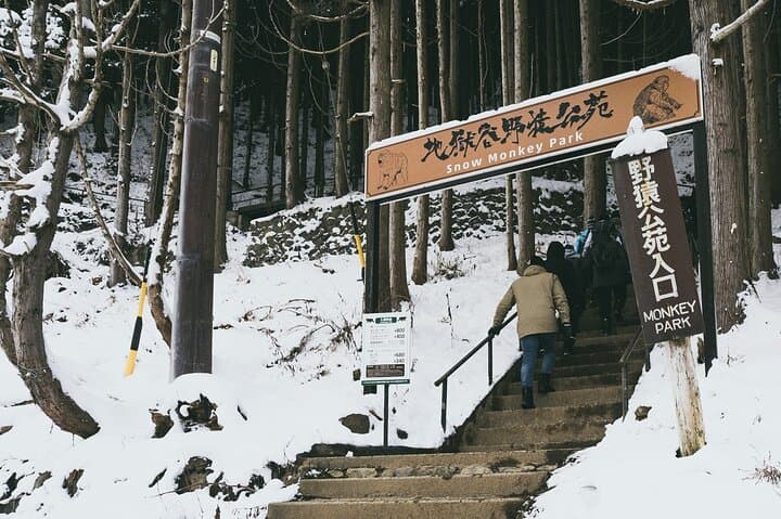Nagano’s Snow Monkeys and Sake Tasting Day Tour