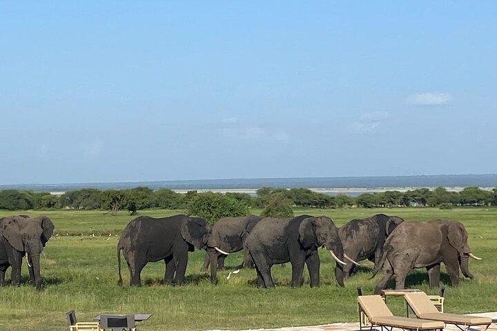 3 days Best Tarangire ,Lake Manyara and Ngorongoro Crater Safari