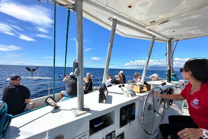 2 Hour Waikiki Whale Watching Cruise from Oahu