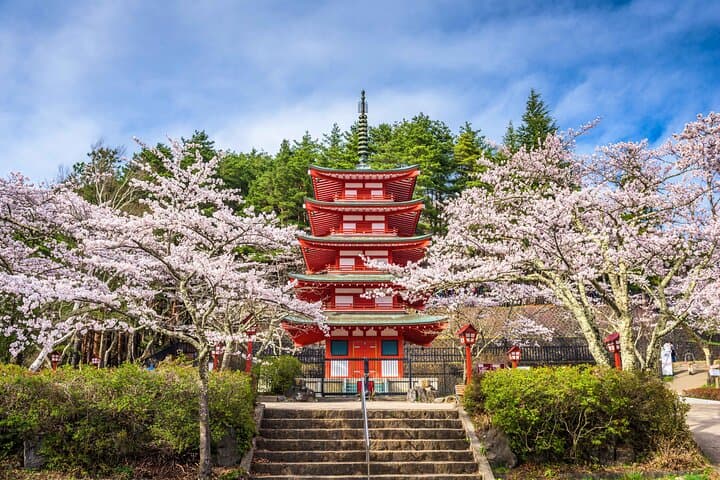 Mt. Fuji Signature 6 Scenic Spots One Day Tour from Tokyo