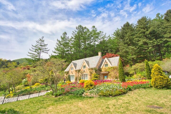 Day Trip to Nami Island with Rail bike and The Garden of Morning Calm