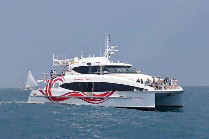 Sydney Whale Watching - 2.5hr Discovery Cruise