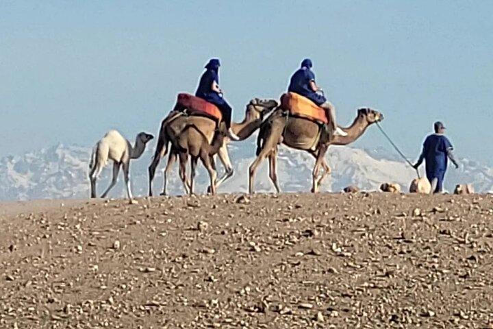 Airport shuttle Marrakech