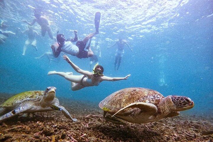 VIP Samui to Nangyuan and TAO adventures Island Tour