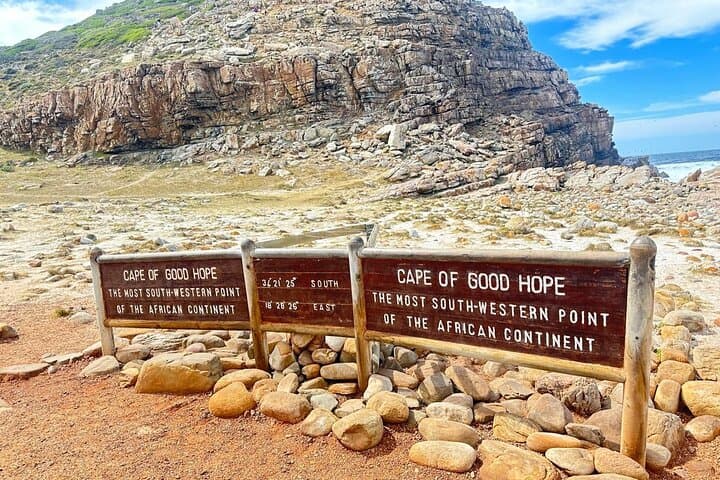 Half Day Private Penguins, Cape Point & Muizenberg Beach Tour