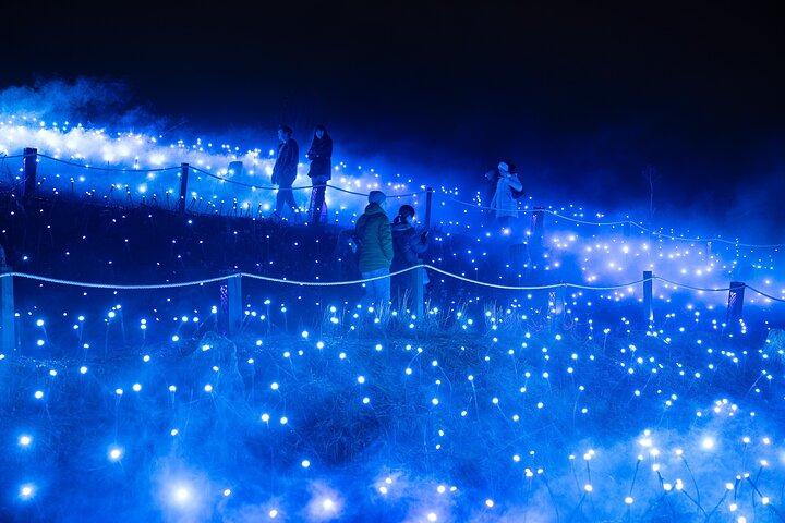 Astra Lumina Night Walk at Currumbin Wildlife Sanctuary
