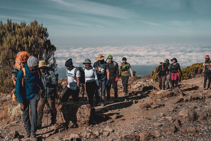 MT Kilimanjaro Day Trip VIA Machame Route
