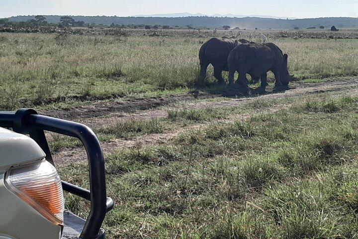Nairobi National Park Giraffe Center Carnivore Lunch