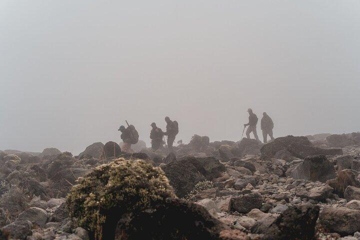 7 Days MT Kilimanjaro Private Hiking VIA Machame Route
