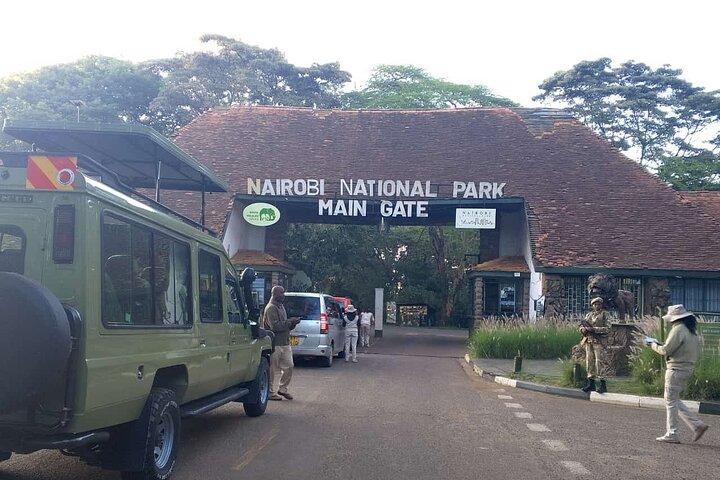 Nairobi National Park Guided Game Drive Wildlife Experience