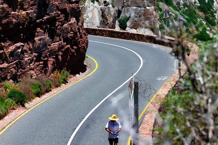 Cape of Good Hope and Penguins Half Day Tour