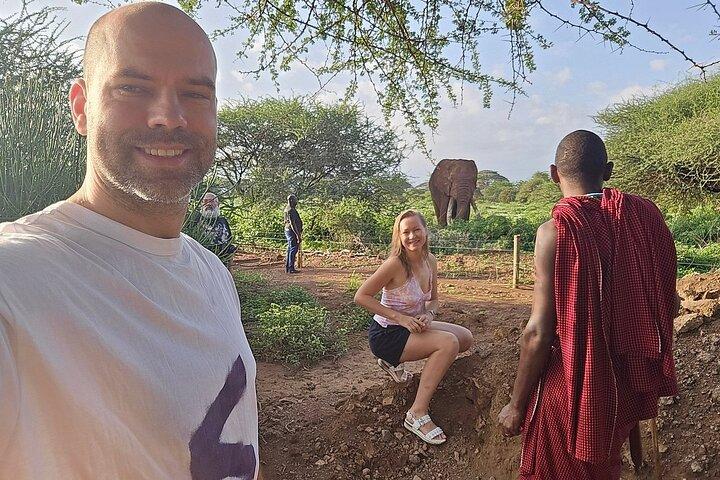 Day Trip to Amboseli National Park and Masai Village from Nairobi