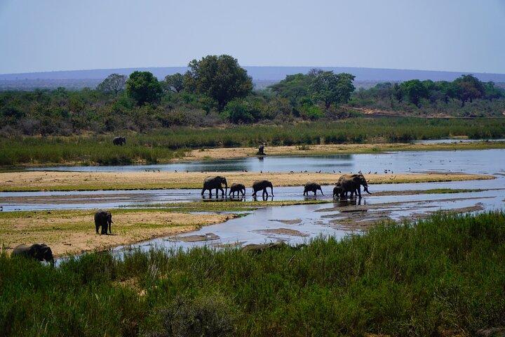 Full Day Kruger Safari from Maputo Open Backed Safari Vehicle
