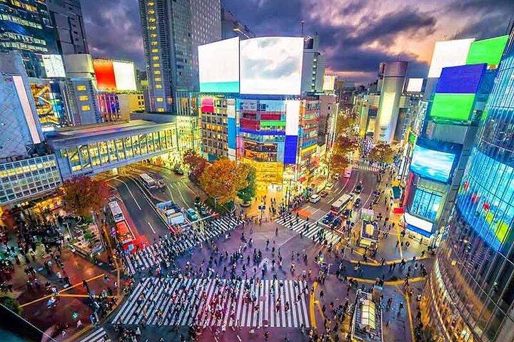 Private Tokyo Tour with English Speaking Guide