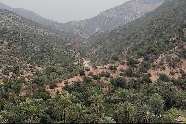 A Tour to Paradise Valley