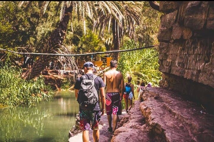 A Tour to Paradise Valley