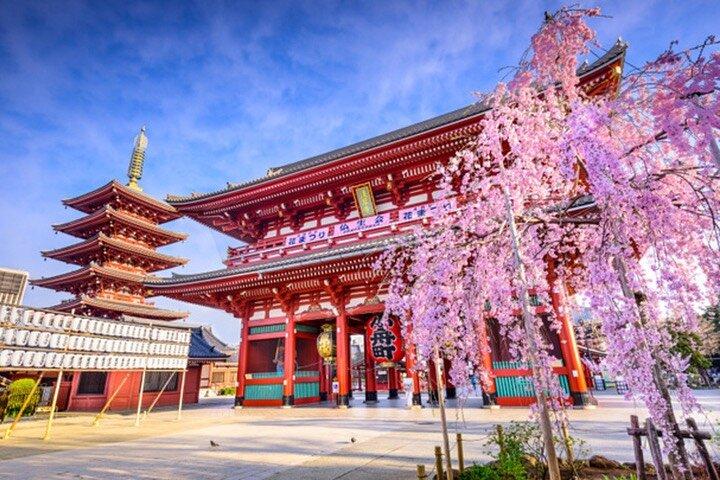 Private Tokyo Tour with English Speaking Guide