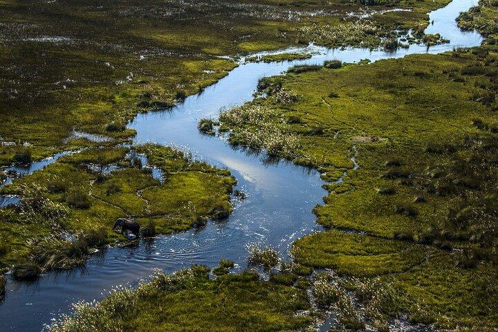 45-Minutes Okavango Delta Helicopter Tour with Champagne Stop
